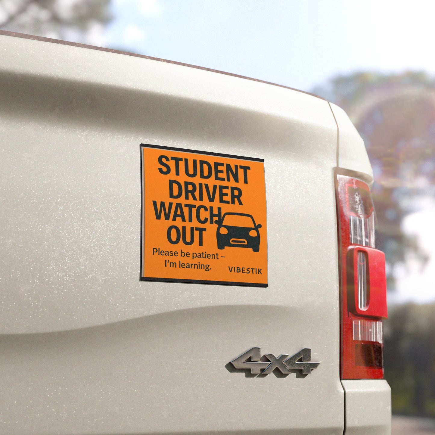 STUDENT DRIVER WATCH OUT!